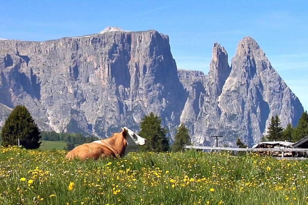 Appartement Fantastico Monolocale In Siusi Sciliar Extérieur photo